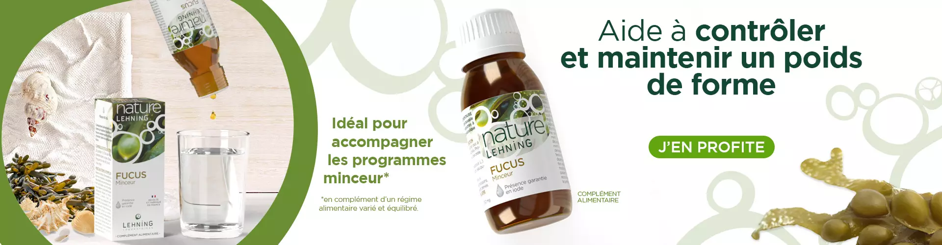 Nature Lehning Fucus vesiculosus