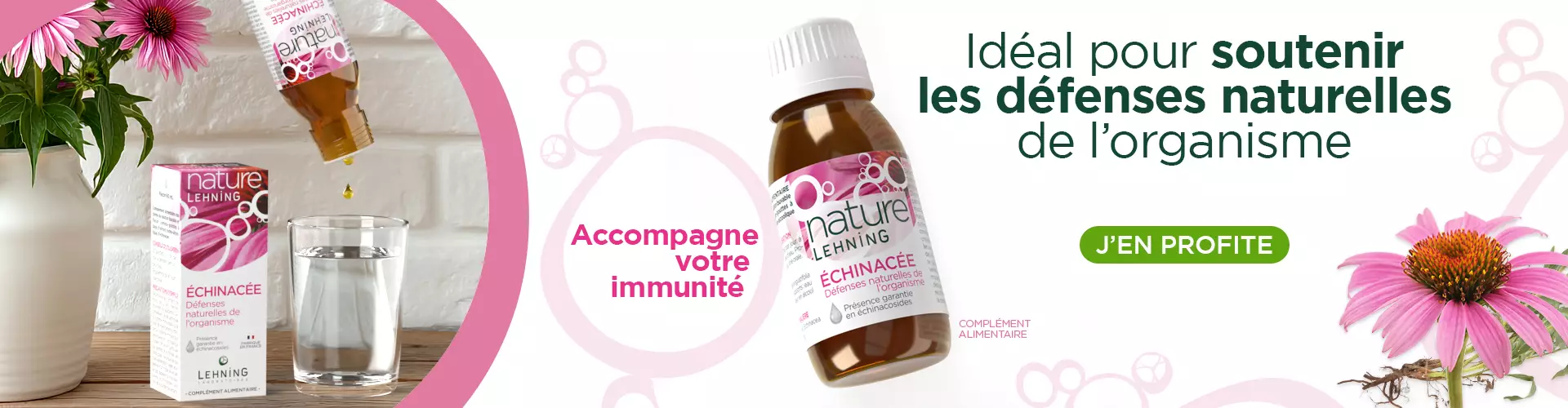 Nature Lehning Echinacée