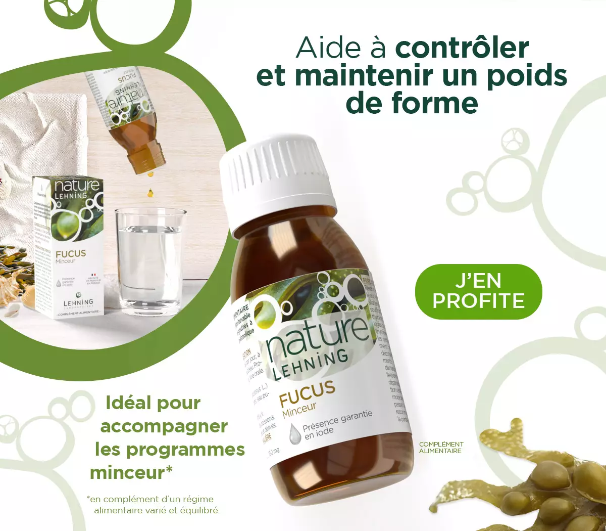 Nature Lehning Fucus vesiculosus