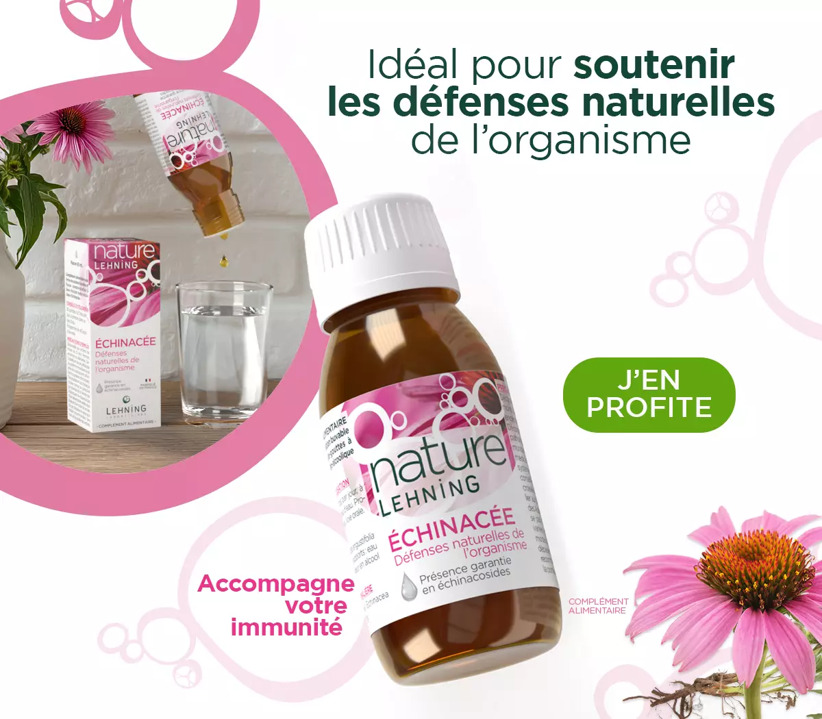 Nature Lehning Echinacée