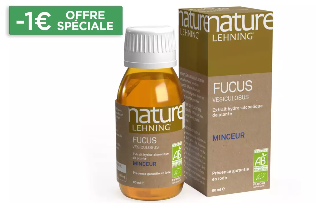 Nature Lehning Fucus Vesiculosus