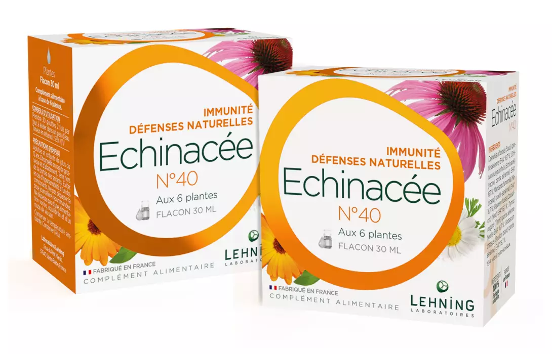 DUO Echinacée N°40