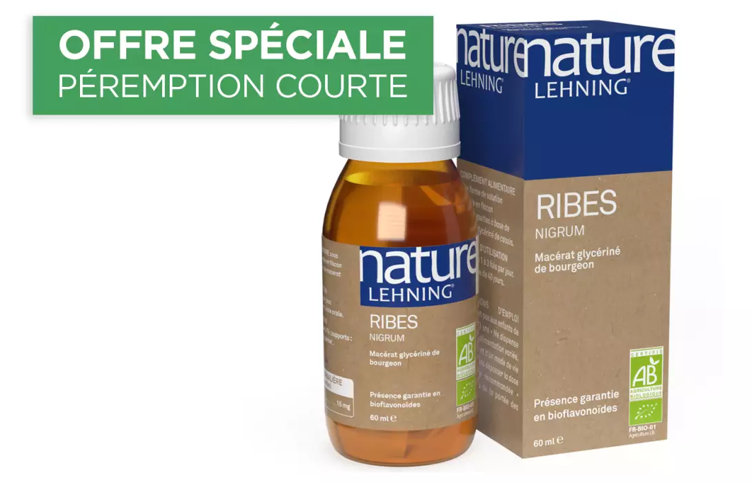 Nature Lehning Ribes Nigrum
