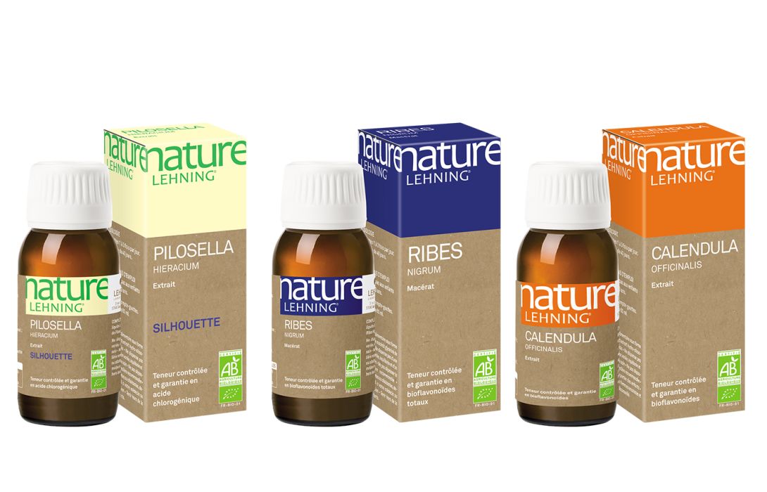 Nature Lehning  pack detox et drainage