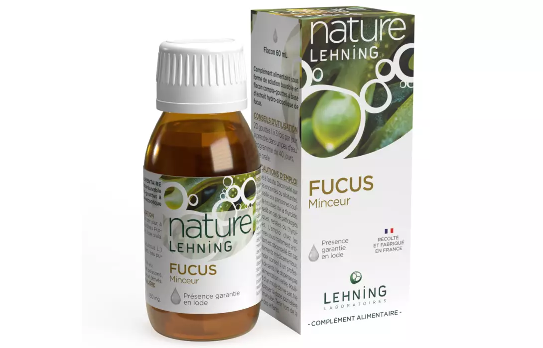 Nature Lehning Fucus