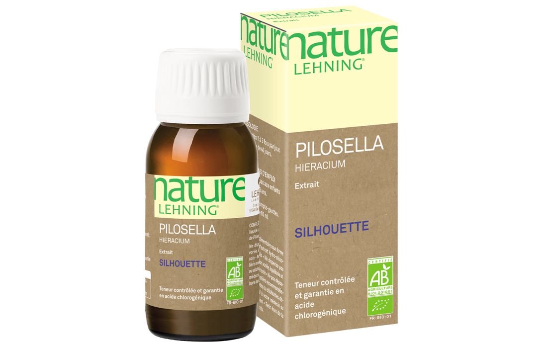 Nature Lehning Pilosella Hieracium