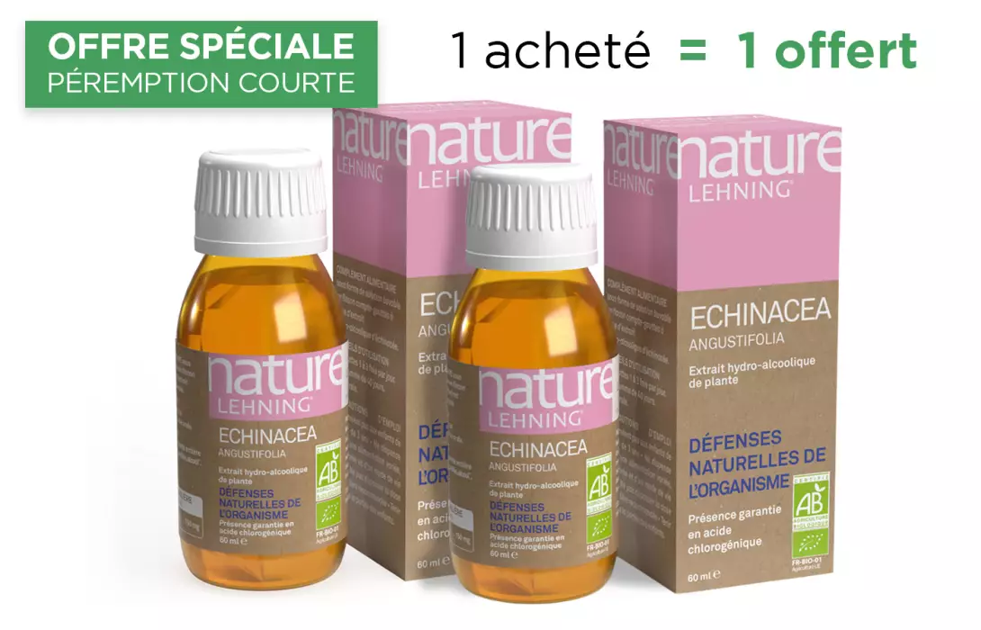 DUO Nature Lehning Echinacea Angustifolia