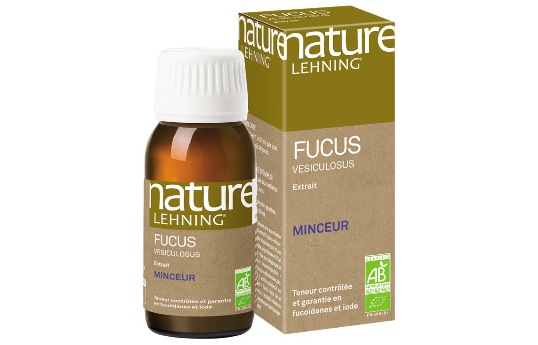 Nature Lehning Fucus Vesiculosus