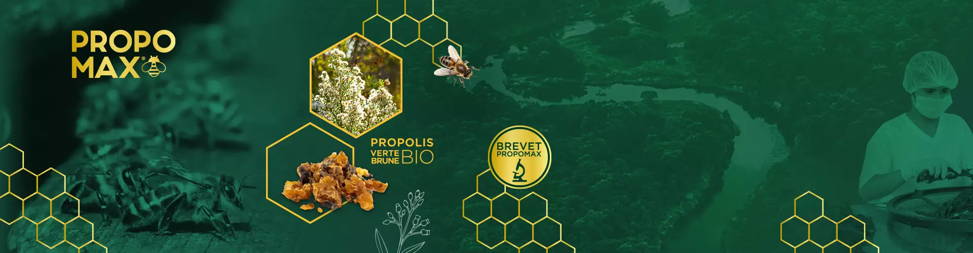 Propomax : propolis bio