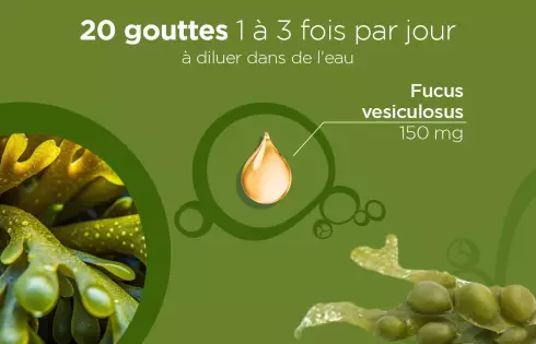 Nature Lehning Fucus - Silhouette et Minceur