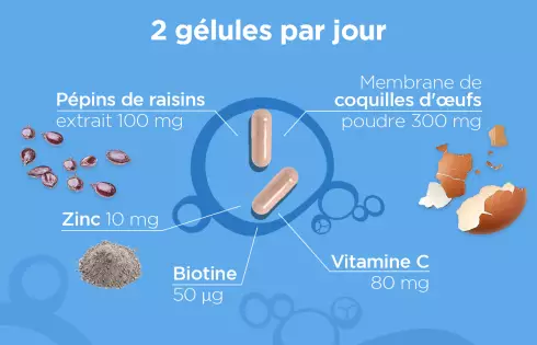 REXOFLEX Beauté Collagène - Complément alimentaire anti age collagene vegetarien coquille d'oeuf