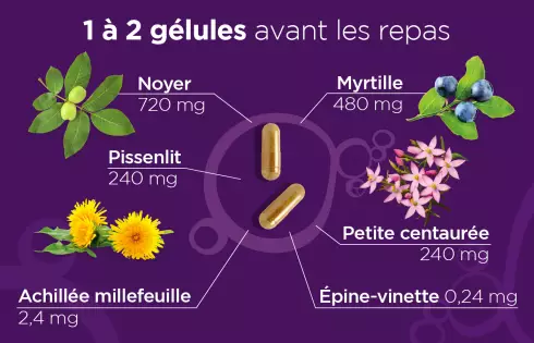 Gélules Brûle Graisse Diacure Lehning