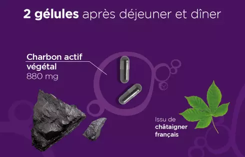 Charbon végétal actif bio en gélules - Laboratoires Lehning