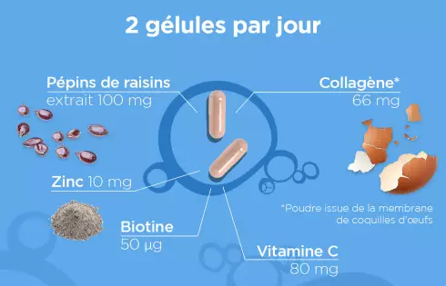 REXOFLEX Beauté Collagène - Complément alimentaire anti age collagene vegetarien coquille d'oeuf