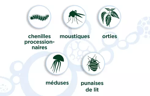 Urtiflash gel certifié bio chenilles processionnaires