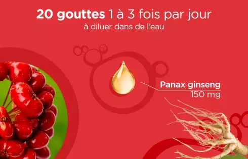 Nature Lehning Ginseng Panax - Solution buvable en gouttes