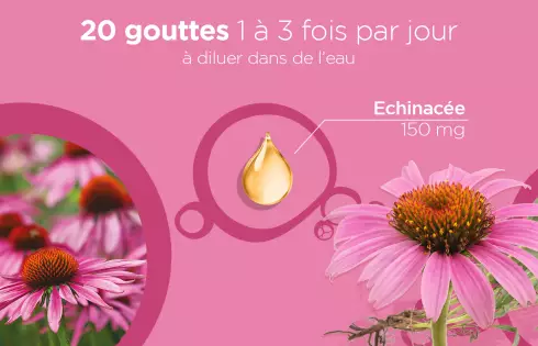 Promo Nature Lehning Echinacée Angustifolia - Echinacée solution liquide