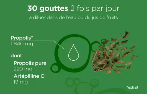 Gouttes Propomax Immunité Lehning