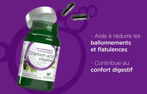 Charbon végétal actif bio en gélules - Laboratoires Lehning