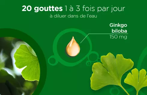 Nature Lehning Ginkgo en Gouttes - Mémoire et Concentration