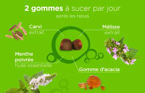 Pâte suisse Digestion - Gummies Ballonnements