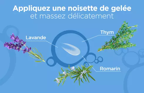 Hydra+ Gelée Mains Hydratante sans Rinçage