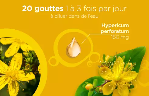 Nature Lehning Millepertuis - Gouttes Hypericum Perforatum