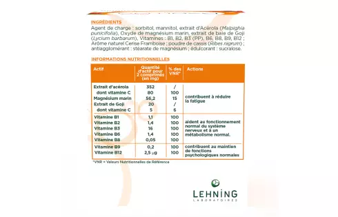 Promo DUO Byomag Goji - Comprimés fatigue, Laboratoires Lehning