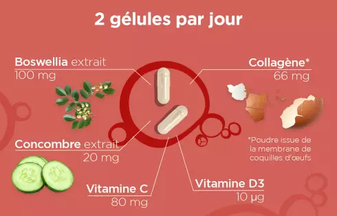 REXOFLEX Mobilité - Collagène végétarien membrane coquille d oeuf articulations et muscles
