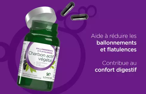 Charbon végétal actif bio en gélules - Laboratoires Lehning
