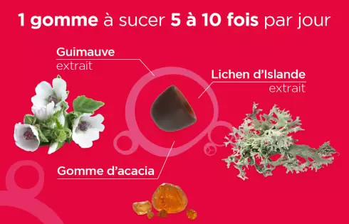 Promo DUO Pâte suisse TUX - Toux - Laboratoires Lehning