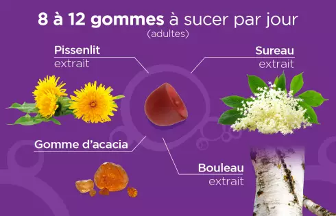 Pâte suisse Détox - Favorise l'élimination - Laboratoires Lehning