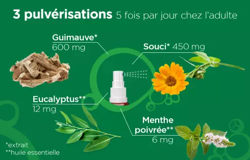 L52FLASH - Spray buccal mal et irritation de gorge et cordes vocales