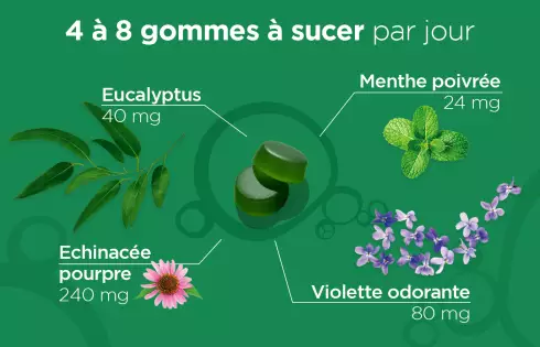 L52GOMMES - 45 Gummies Respiration Menthe Eucalyptus Sans Sucre