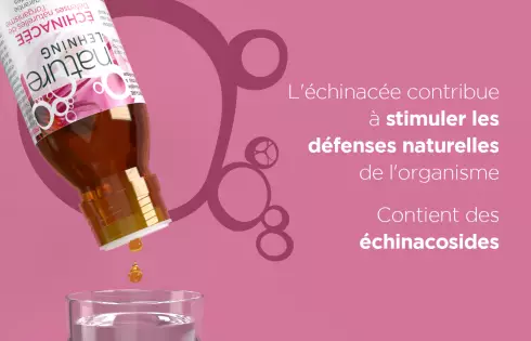 Promo Nature Lehning Echinacée Angustifolia - Echinacée solution liquide
