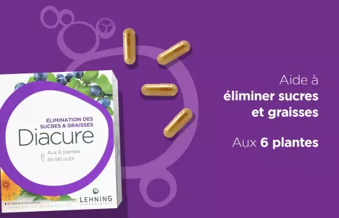 Gélules Brûle Graisse Diacure Lehning