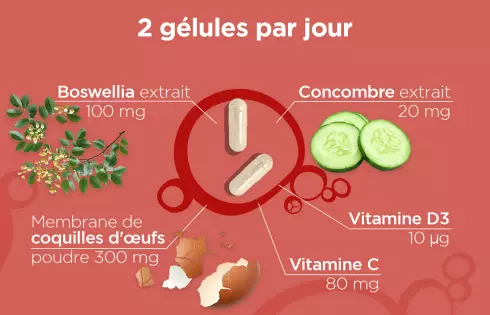 REXOFLEX Mobilité - Collagène végétarien membrane coquille d oeuf articulations et muscles