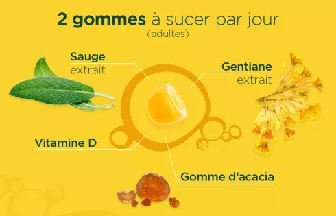 Promo DUO  Gummies Pâte suisse Vitamine D - Laboratoires Lehning
