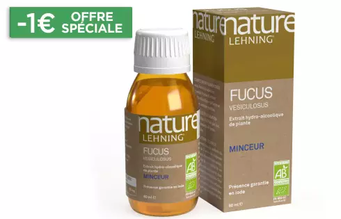 Nature Lehning Fucus Vesiculosus