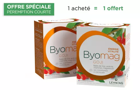 Promo DUO Byomag Goji - Comprimés fatigue, Laboratoires Lehning