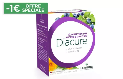 Gélules Brûle Graisse Diacure Lehning
