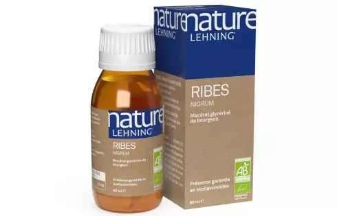 Nature Lehning Ribes Nigrum