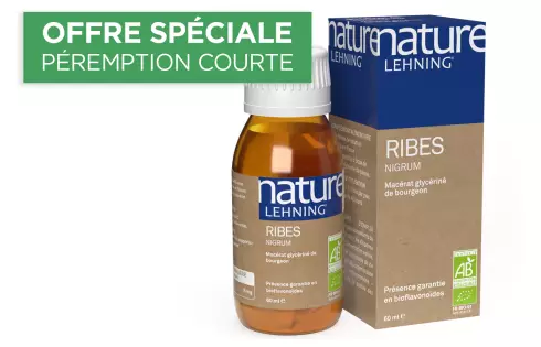 Nature Lehning Ribes Nigrum