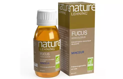 Nature Lehning Fucus Vesiculosus