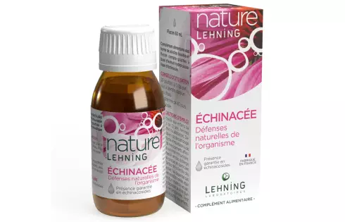 Nature Lehning Echinacée