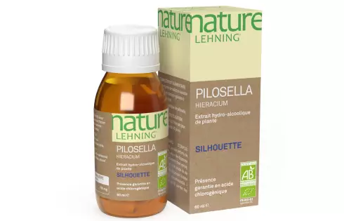 Nature Lehning Pilosella Hieracium