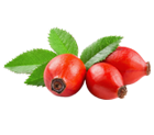 float:left; height:123px; margin-right:10px; width:140px