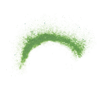 spiruline Spirulina platensis