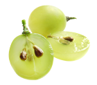 Extraits de pépins de raisin Laboratoires Lehning